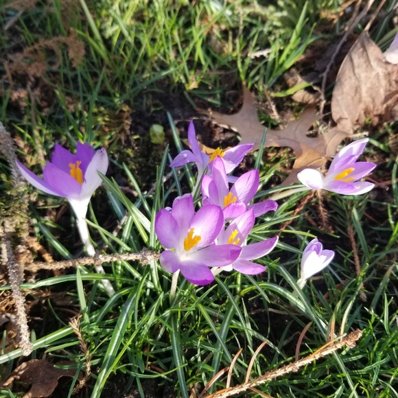 Meet your Posher, Natalya - Picture 1 of 1